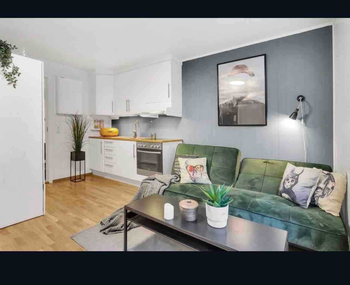 A cozy living area is shown, featuring a green sofa adorned with decorative pillows. A modern black coffee table occupies the center, complemented by a small indoor plant. The kitchen area, with white cabinetry and a stove, is visible in the background.