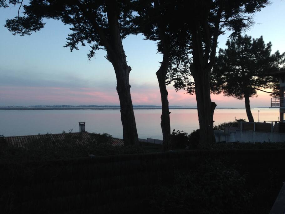 EVENING VIEW