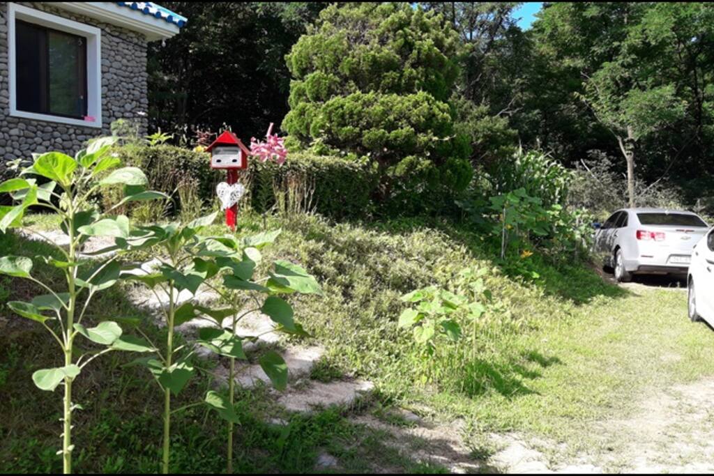 미앤민 하우스 전경입니다.