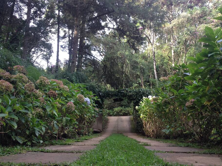 caminho da entrada