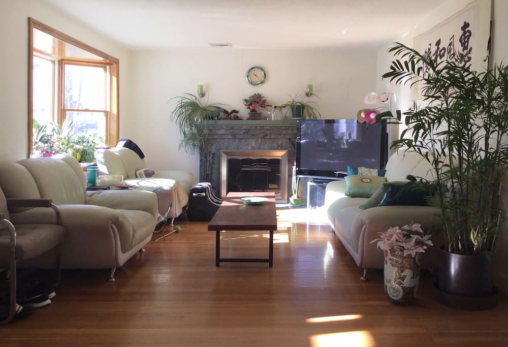 Living-room (shared)