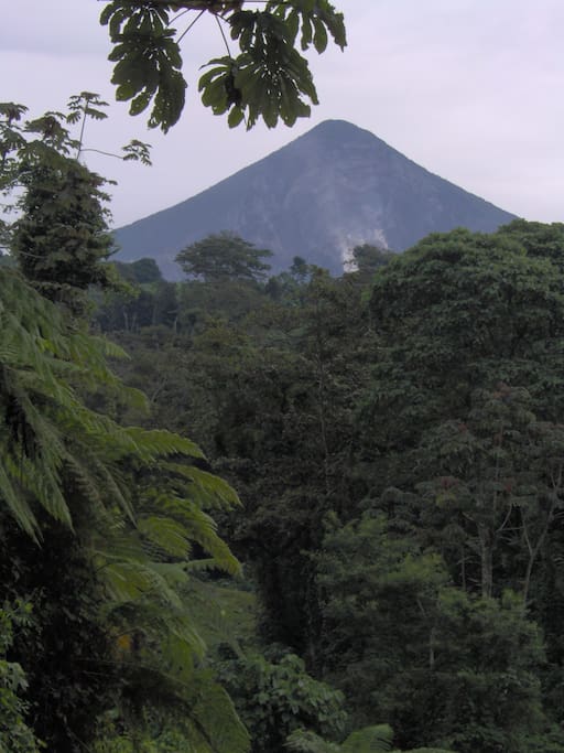 La finca esta en las faldas del Volcán Santiaguito; uno de los tres activos en Guatemala