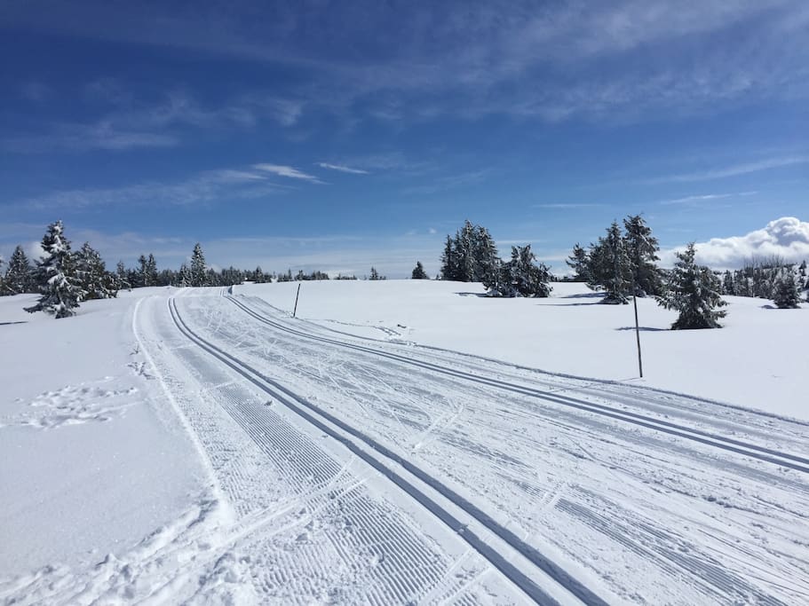 Skiing