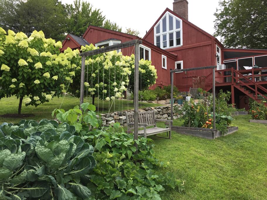 Vegetable Gardens