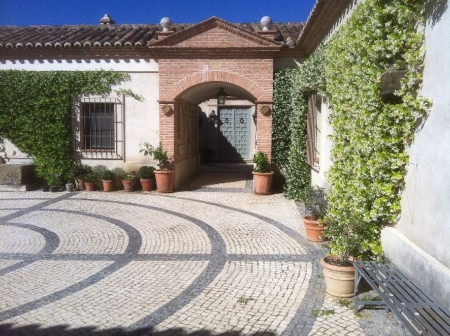 Patio