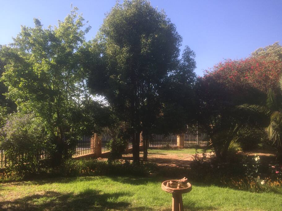 Lovely, peaceful garden area