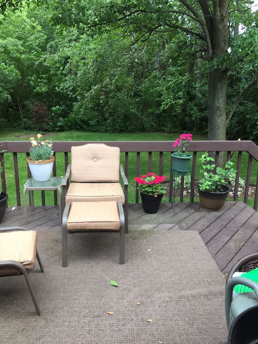 Relaxing backyard