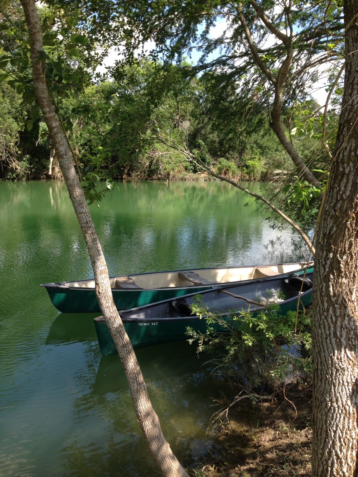 A green canoe rests quietly on the clear waters of Onion Creek, surrounded by lush greenery and gentle tree branches. The reflection of trees creates a serene atmosphere, offering a glimpse of the peaceful natural surroundings.