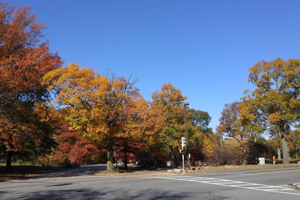 The Emerald Necklace parks are just across the street!