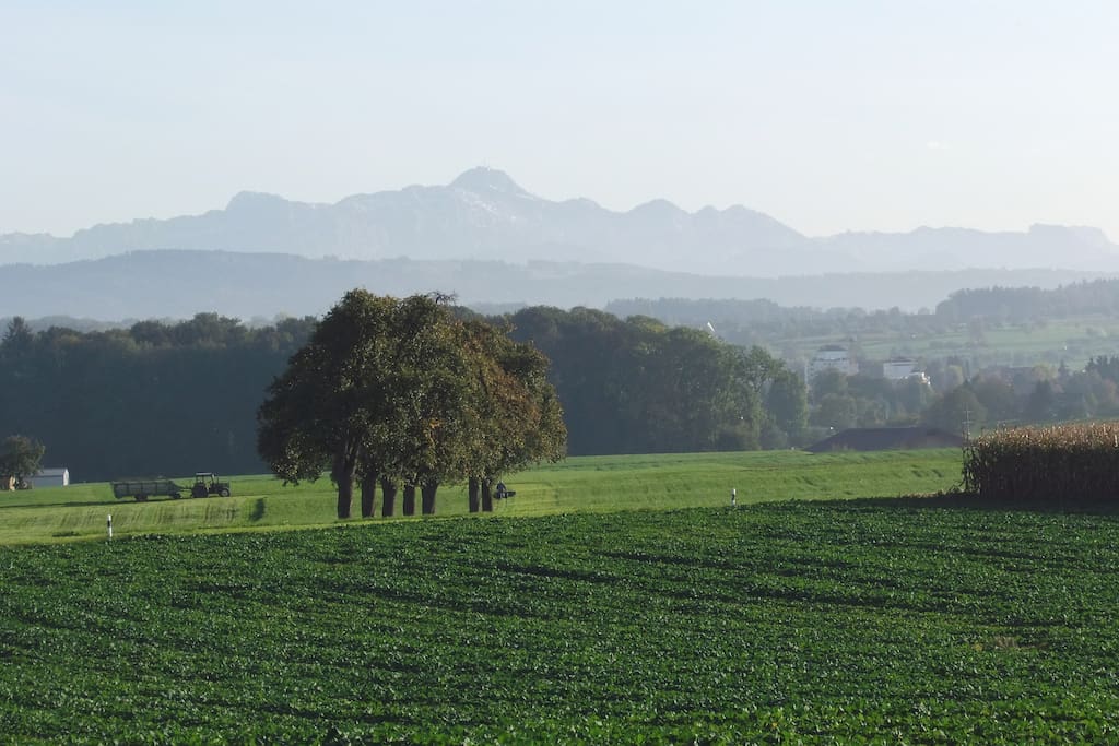 tolle Ausicht auf das Alpsteingebiet