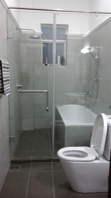 Bathroom in the Master BR