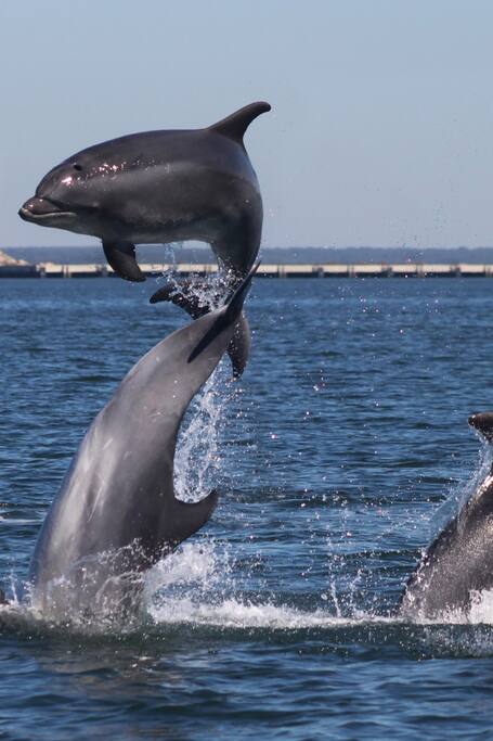 Airbnb Serra Do Bouro Vacation Rentals Places To Stay