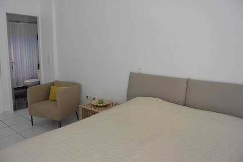eco studio