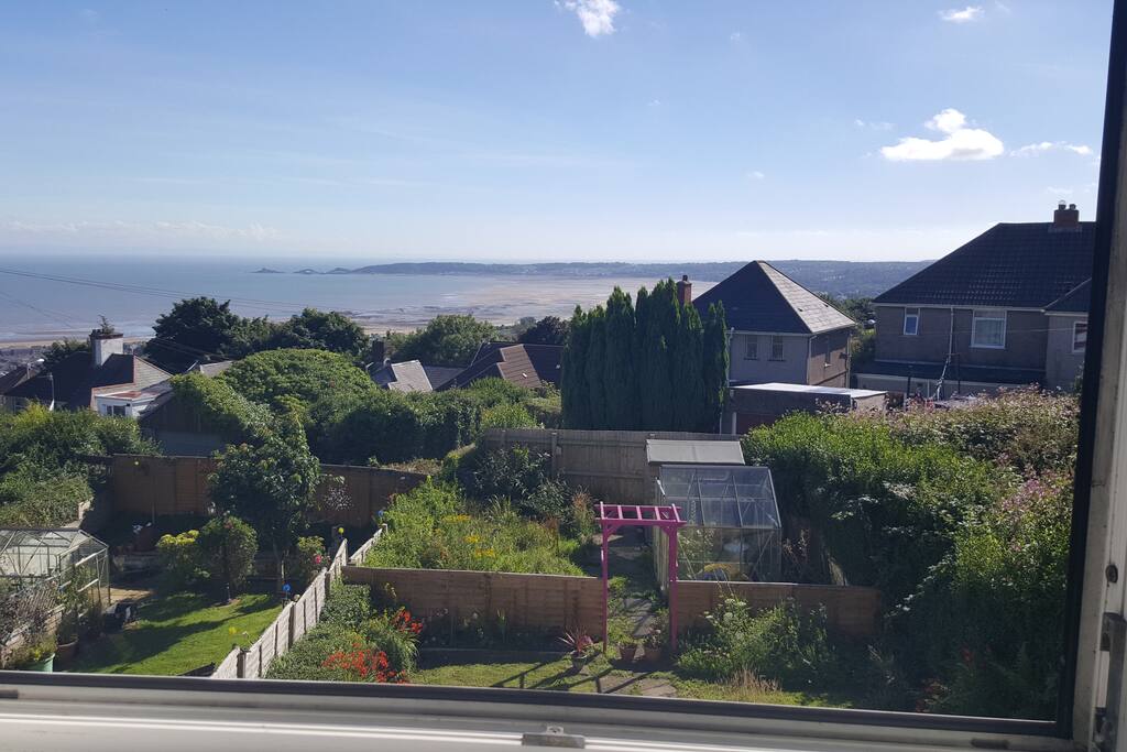 View from window