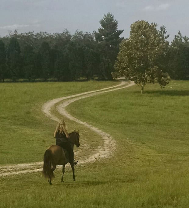 the drive leaving the yard