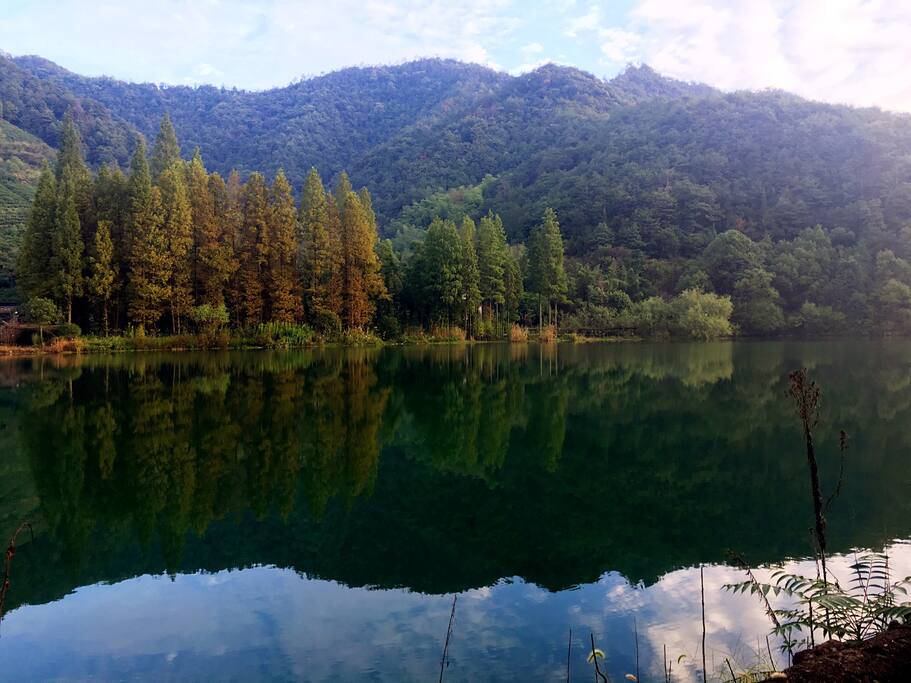绍兴王坛大鸡笼水库,房子周边