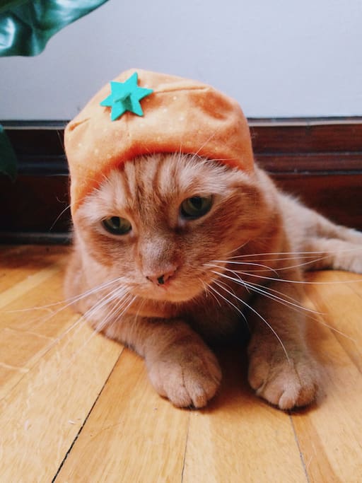 Garfield!!