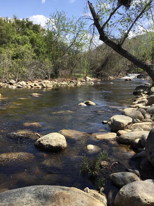 The River 3/15/18
