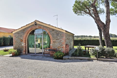 Bauernhof mit Pool in Toskana | Terra di Cortona