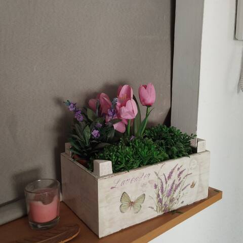 HAB. INDIVIDUAL, CENTRO. SOLO MUJERES