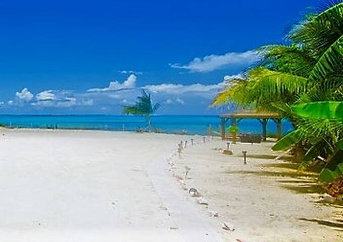 Newly remodeled Beachfront Cozy Cottage w/Patio