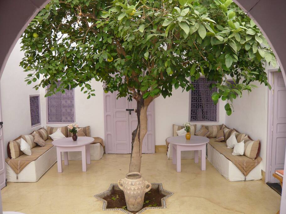 Patio Dar 1