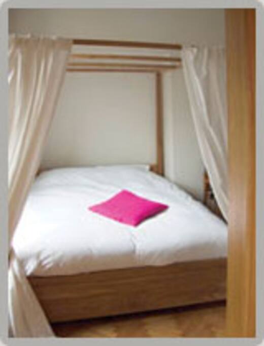bedroom with big closet and double window