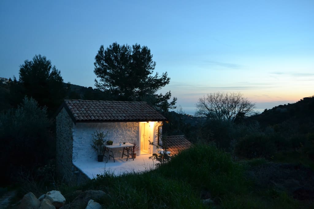 The house, the pines, the Oak, and medeterranean sea