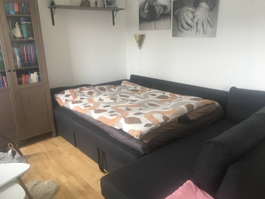 This is the sofa bed.