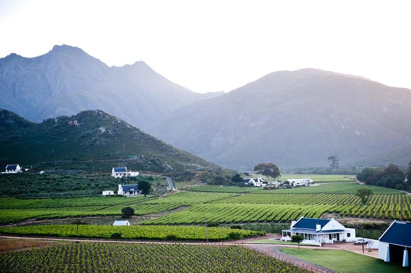 A panoramic view captures rolling vineyards set against majestic mountains. The landscape features a blend of lush green fields and rustic white cottages, creating a serene and inviting atmosphere in the peaceful countryside.