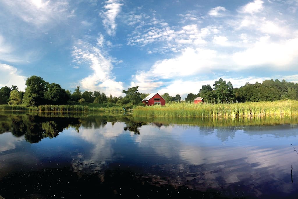 Our 1.5 acre farm pond– teeming with large mouth bass and blue gill. Bring your pole or use one of ours.