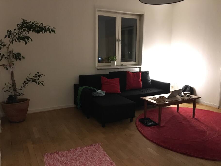 the livingroom