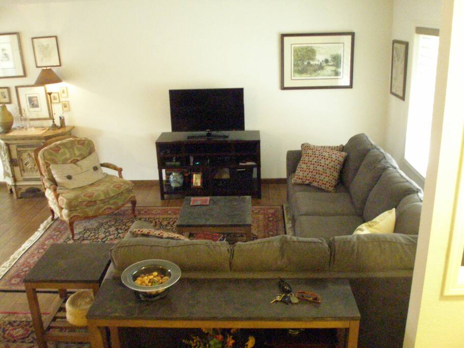large comfy couch and plenty of seating