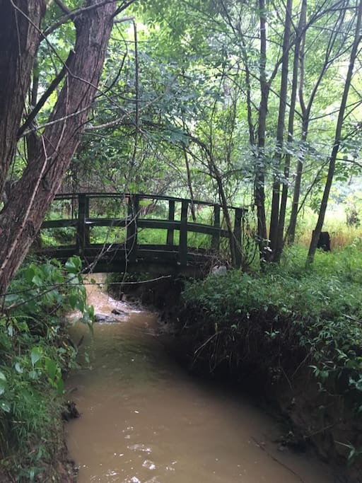Stream with wooden bridge