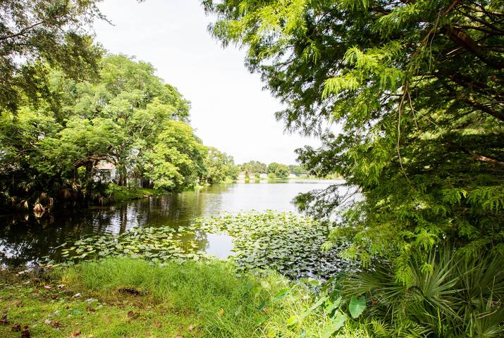 OASIS in Bustling Orlando | ★Free Breakfast★