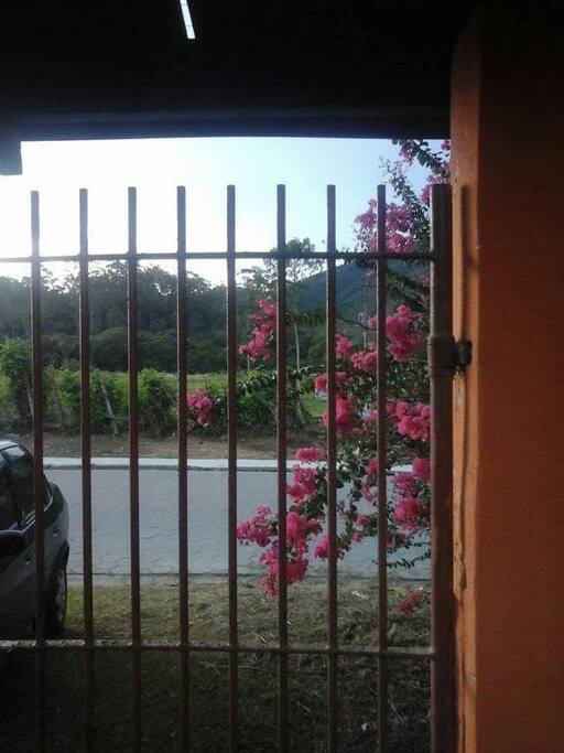 Vizinhos da frente....rs