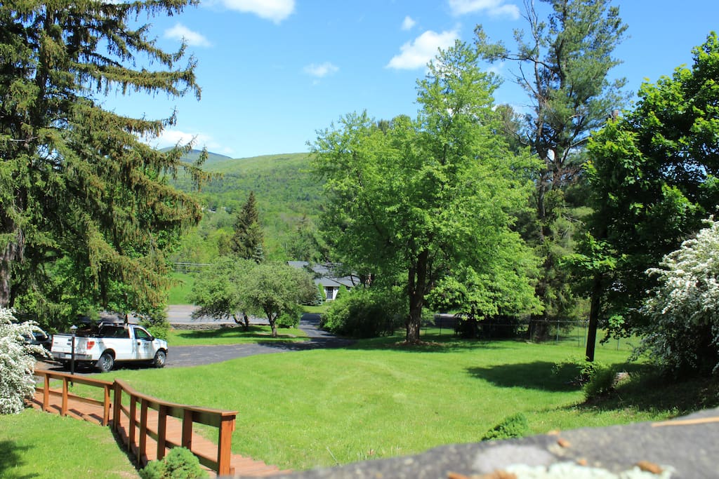 Front Porch View In Summer