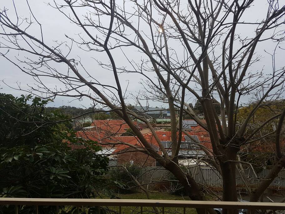 View from Balcony
