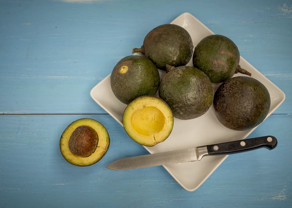 Free, historic avocados in the backyard.... how cool is that?
