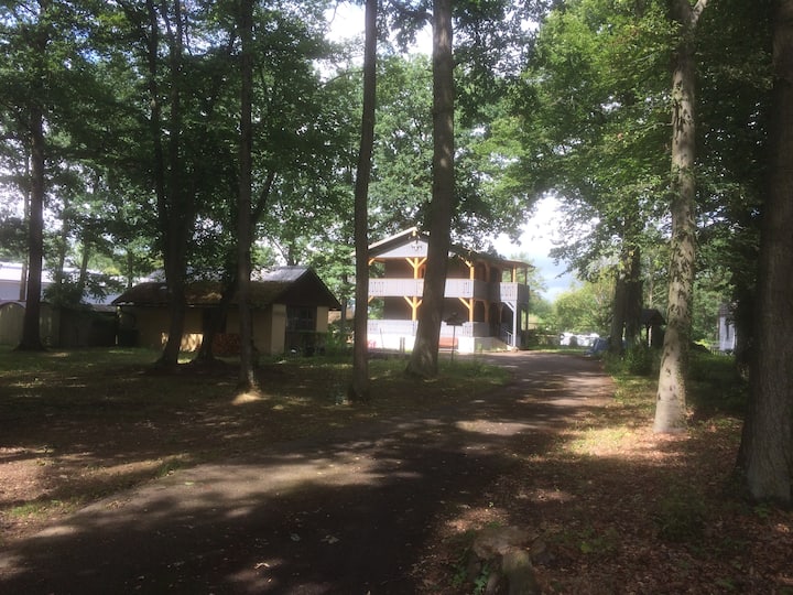 Hunting house in the forest