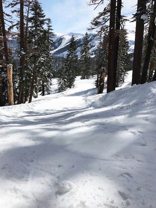 The gently sloping ski out trail.
