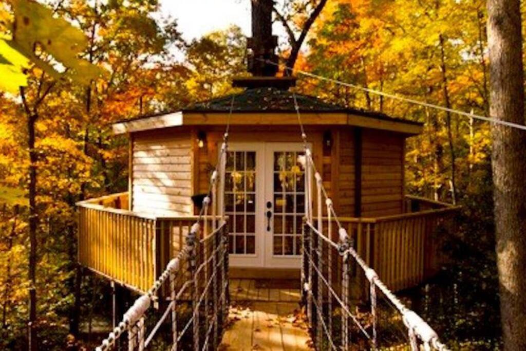 Holly Rock Treehouse - Treehouses for Rent in Hico, West Virginia