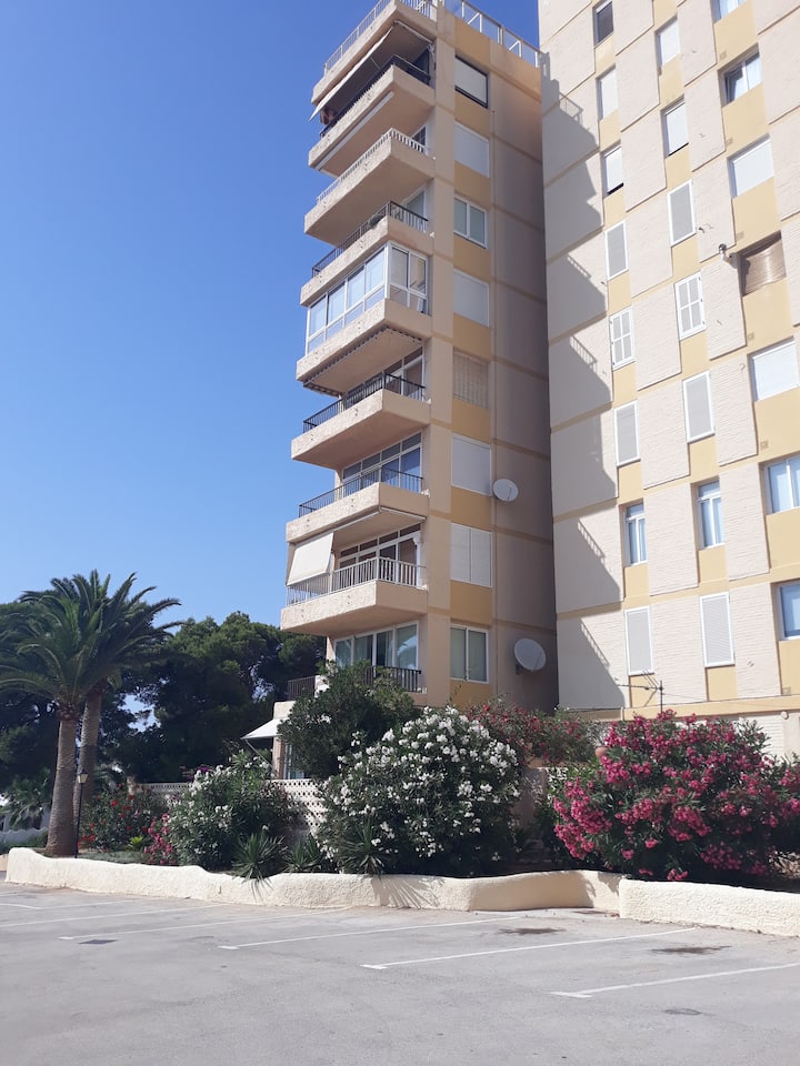  Parkovacie miesta majú povolené námestie v Tichom oceáne.