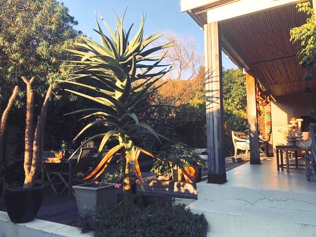 Entire freestanding 1920s home & pool and garden gallery image 2