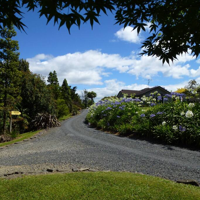 Private drive up to our house.