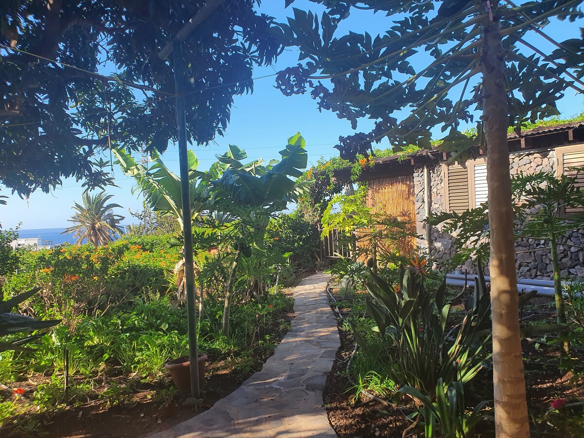 Top performing Airbnb: Cottage under the mango trees in Valle Gran Rey