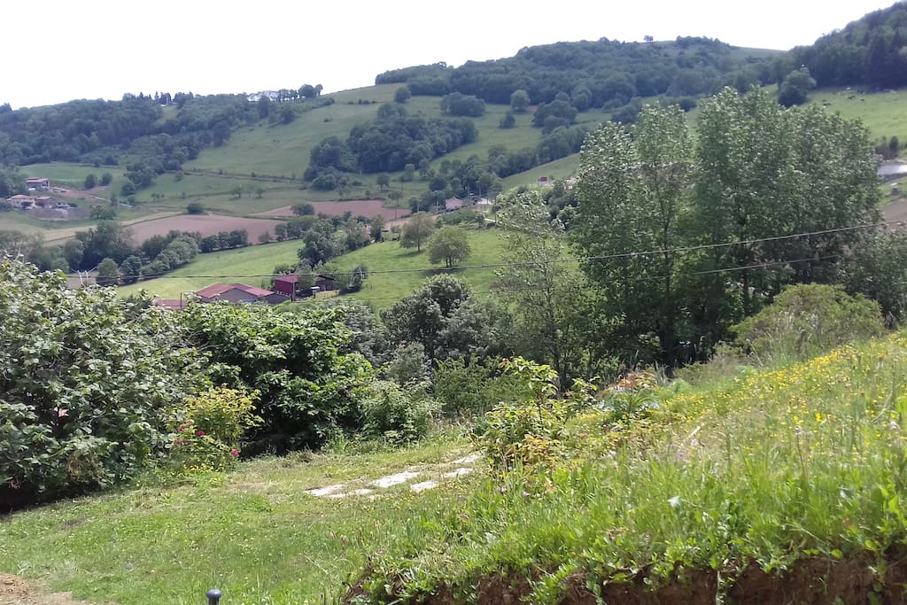 Vue depuis la terrasse devant la cuisine.