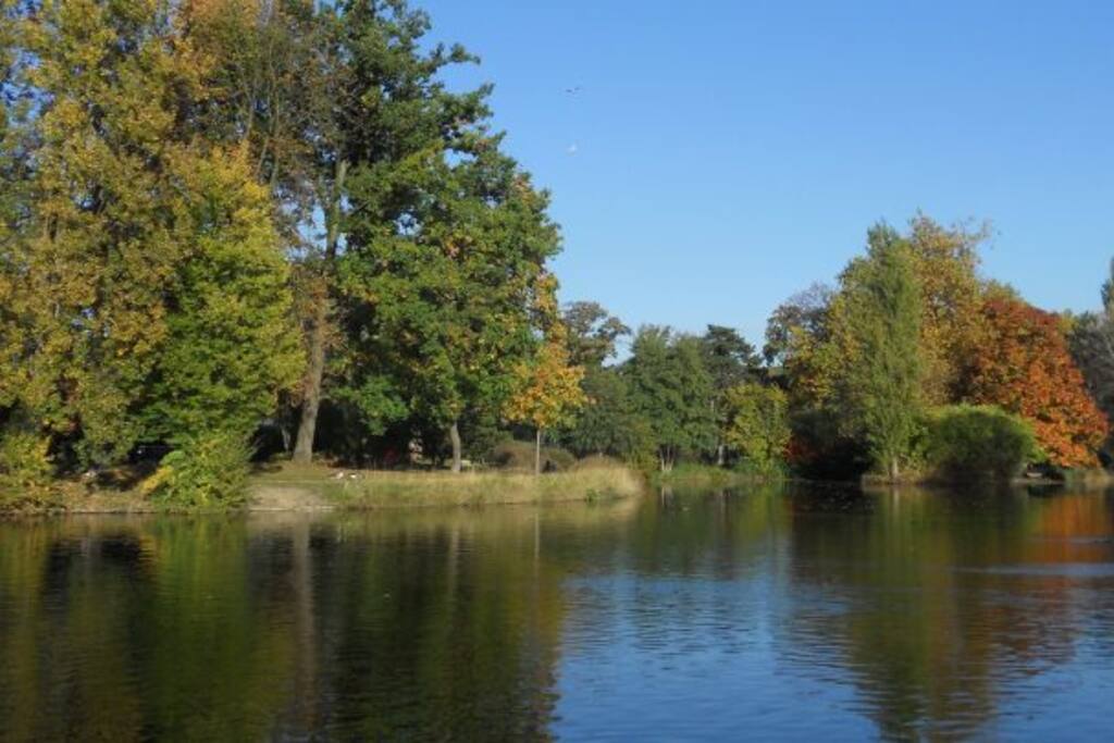 lac des Ibis au bout de la rue