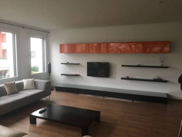 Magnifique appartement lumineux de 150m2 à Vésenaz gallery image 2