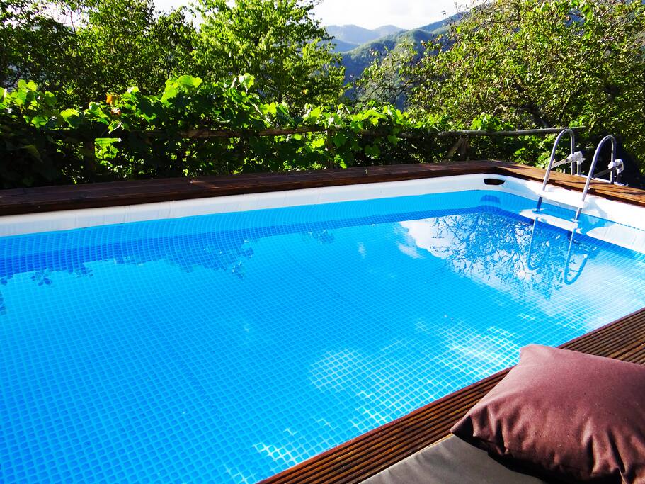 The pool has been upgraded - 4.5m x 2.2m surrounded by wooden decking with lounge cushions and pillows.
